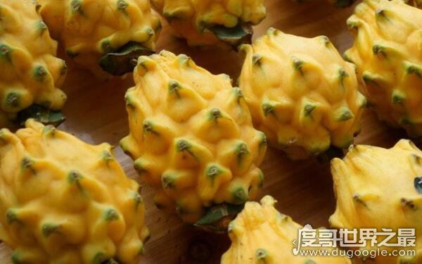世界十大稀奇水果,名称让人陌生(少见的水果)