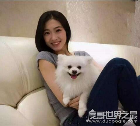 十大最美体操运动员，张豆豆为体操界第一美女(刘佳慧排第二)