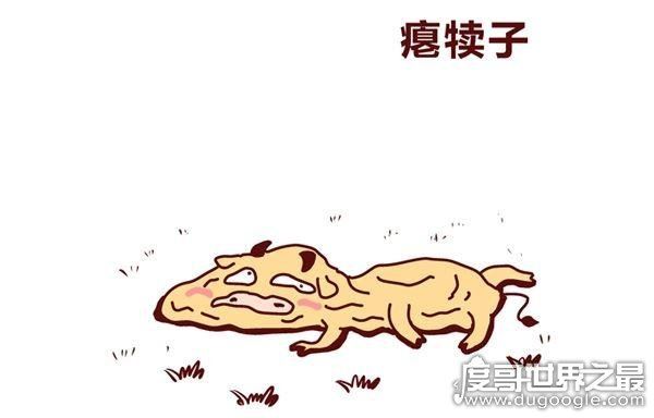 东北四大神兽和八大犊子，滚犊子是什么意思(滚远些/生气)