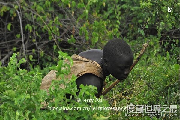 野外生存最强的土著民族：布须曼人，以擅长追踪猎物而闻名