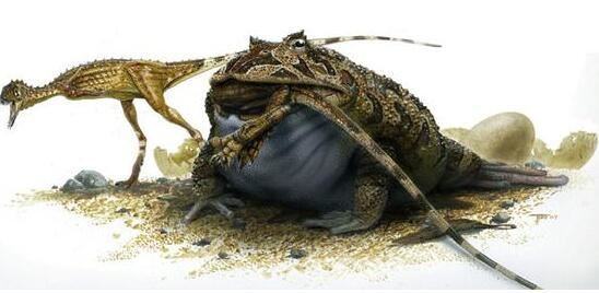 有史以来最大的青蛙，魔鬼蛙(敢偷吃霸王龙幼崽)