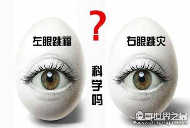 男人右眼跳是财还是灾,右眼跳灾(没有科学依据不必担心)