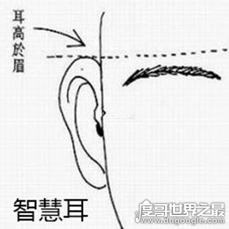 耳朵大有福是真的吗?耳朵大不是有福的表现(有福气的耳朵盘点)