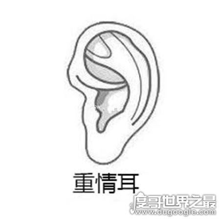 耳朵大有福是真的吗?耳朵大不是有福的表现(有福气的耳朵盘点)