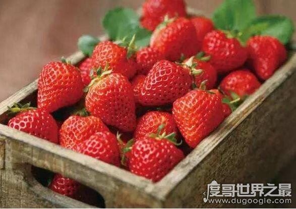 草莓是什么季节的水果,分为春播和秋播(一般6~8月/1~3月收获)