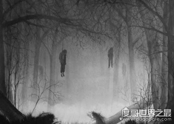 日本自杀森林，青木原树海一年搜出近百具尸体(死法多样化)
