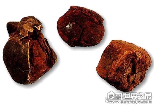 治百病的天价鸡宝是什么东西,病变的卵细胞没有药用价值