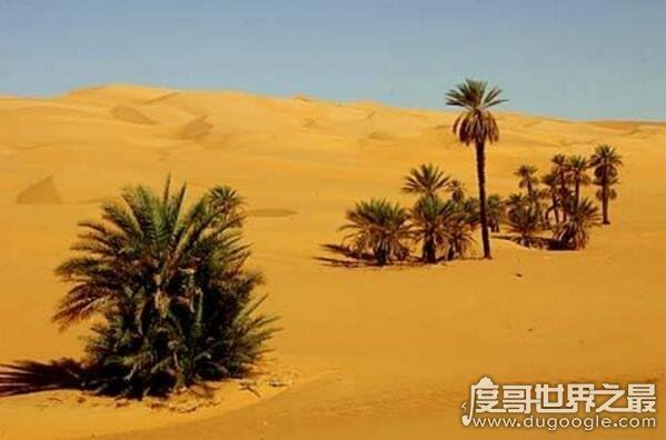 世界上最大的沙漠面积排名，世界十大沙漠名单及介绍