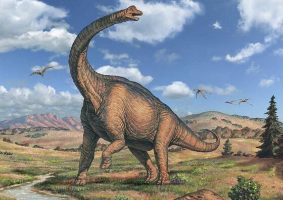 腕龙并非最重的恐龙，被严重高估了的一种长颈巨龙