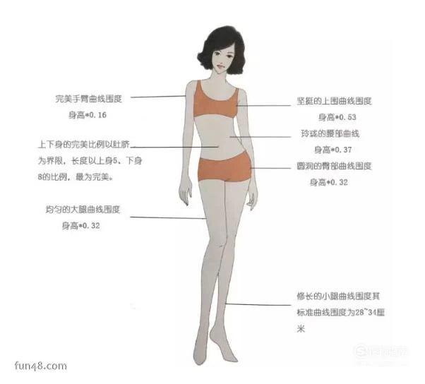 女生标准身材的黄金比例