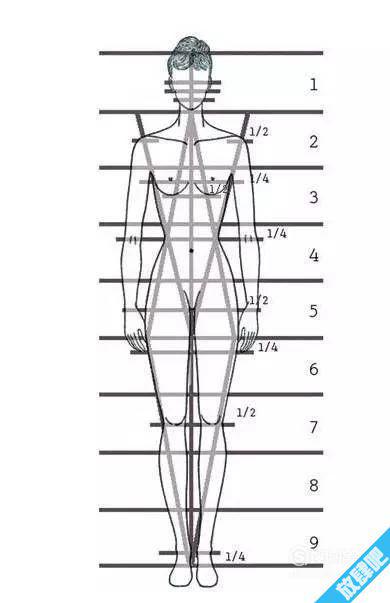 女生标准身材的黄金比例