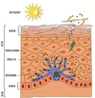 预防黑色素小妙招