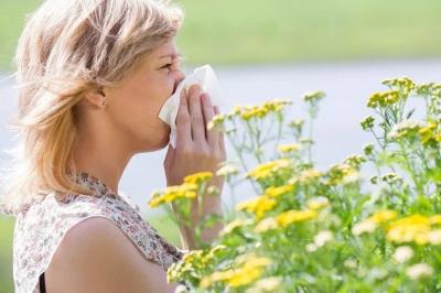 花粉过敏的治疗和预防小贴士