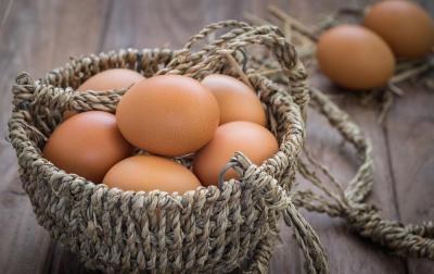 每天吃一个鸡蛋可以减少发育迟缓的风险