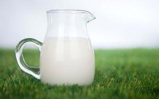 山羊奶中是否含有乳糖？