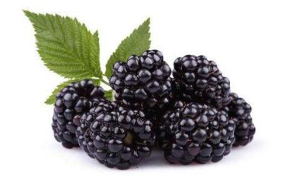 黑莓有什么好处？