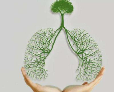 秋季养肺的方法