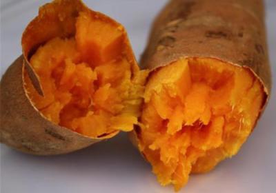 冬季乱吃红薯容易导致中毒