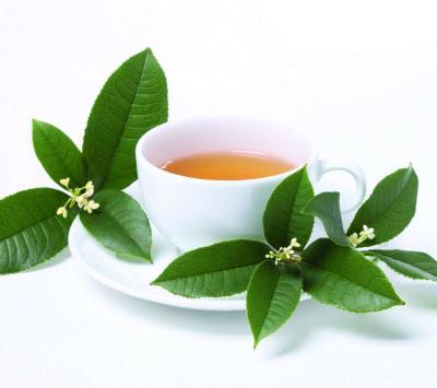 冬季养生茶 补肾养生茶的详细做法