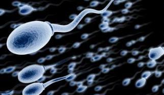 判定精子质量好坏的十个标准，怎样知道精子质量的好坏？