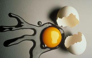 吃鸡蛋可以帮助您减肥吗？