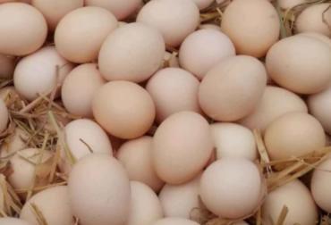 鸡蛋减肥法瘦20斤