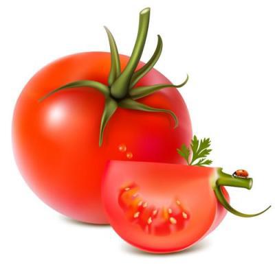 怎样吃西红柿能帮助我们减肥