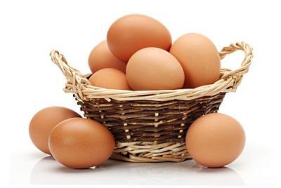 鸡蛋一周减肥食谱瘦了10斤？
