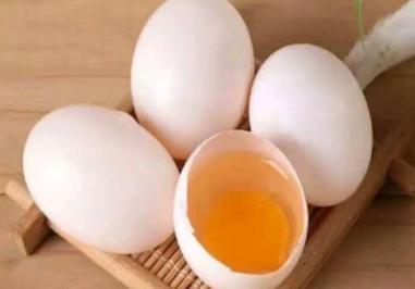 提高性能力不可错过的补肾壮阳食物—鸽子蛋