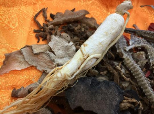 男性补肾壮阳吃什么东西效果最好?
