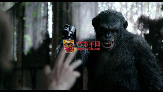 《猩球崛起2》电影影评：非我族类，其心必异