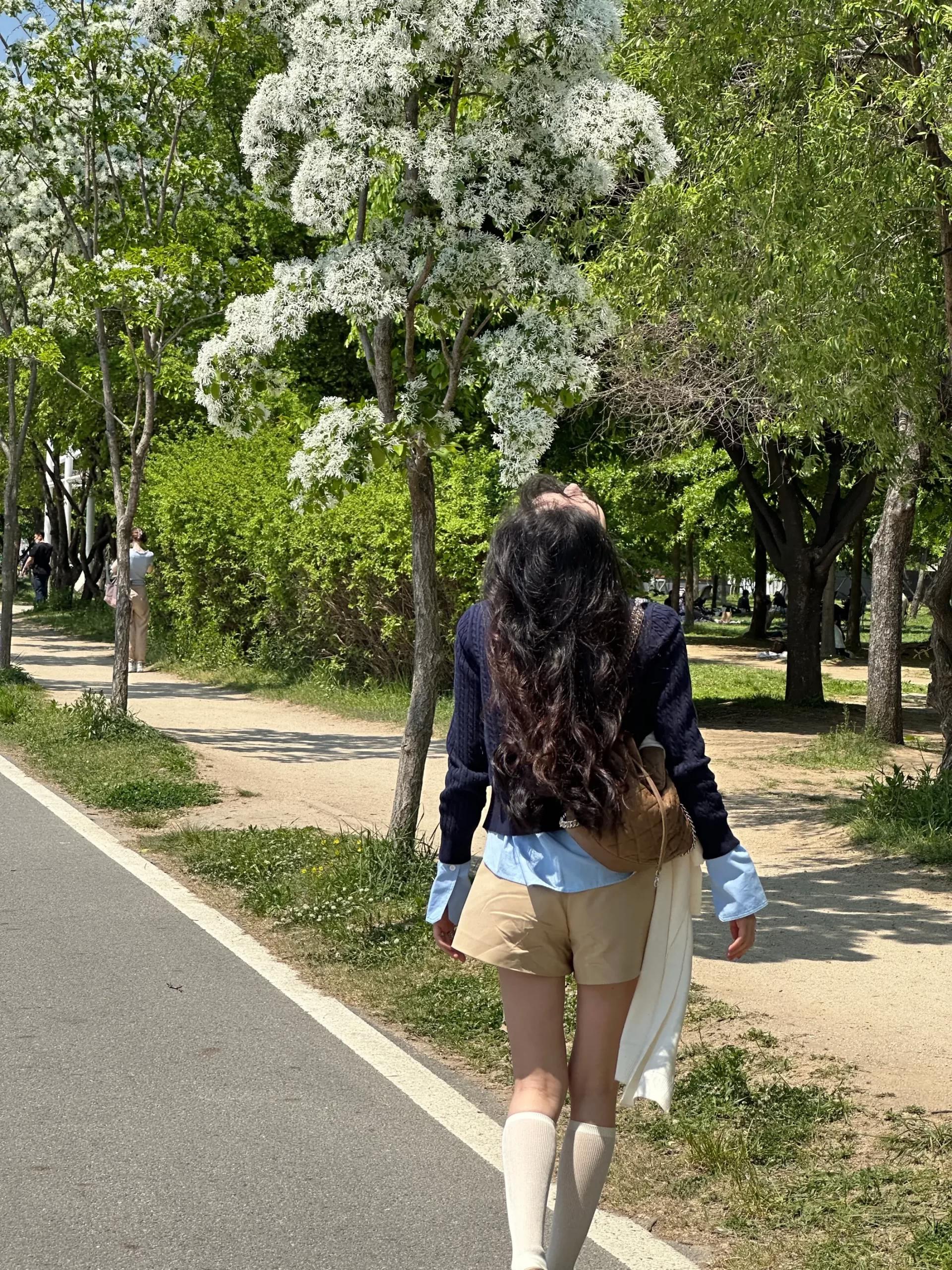 抖音网红Fyuan方圆 来一场仲夏夜的梦