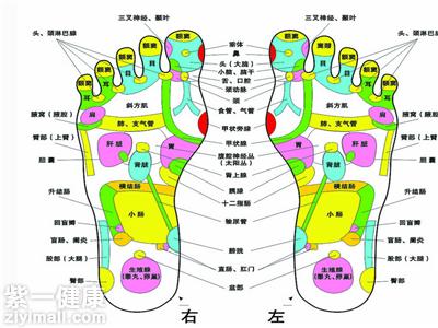 脚底按摩图解 详细按摩手法看这里