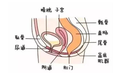 女生同房后不洗不尿，后果竟然这么严重