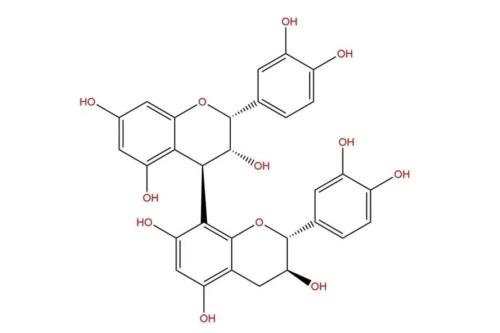 虾青素、原花青素、维生素C……到底哪个抗氧化更靠谱?