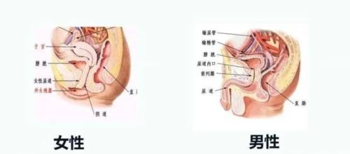 啪啪后男友这个骚操作，让我不幸中招……