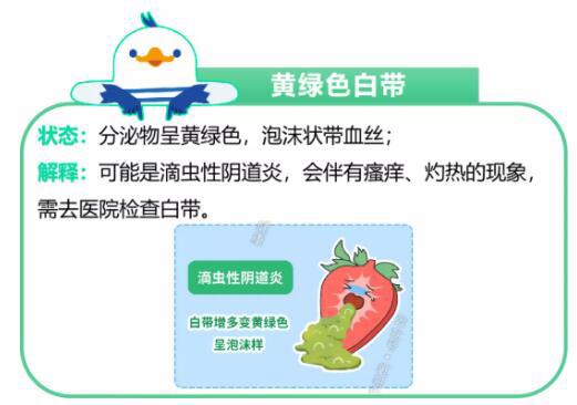 女性内裤每天都是湿的是什么原因
