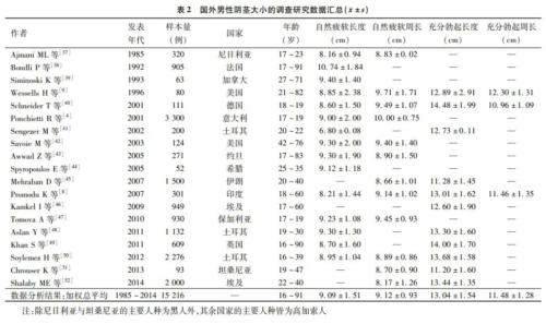 外国人的阴茎真的更大吗