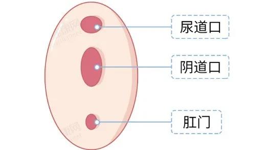 第一次性生活有多痛？进不去怎么办……