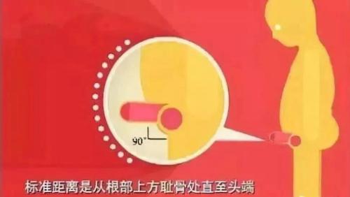 丁丁多大是标准？又该去怎么测量？