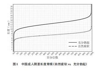 丁丁多大是标准？又该去怎么测量？