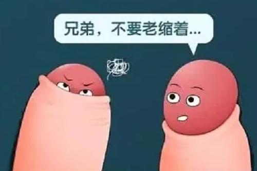 科普|包皮，你割了吗