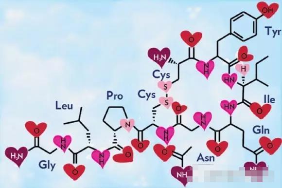 问世间情为何物，揭秘爱情背后的神经科学！