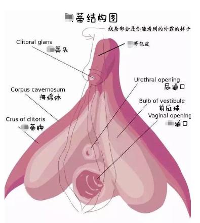 被女生憋回去的性需求，后来都去哪了