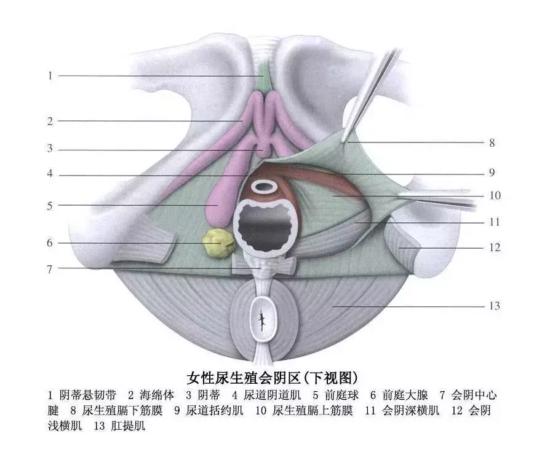 性高潮可能和你想得不太一样