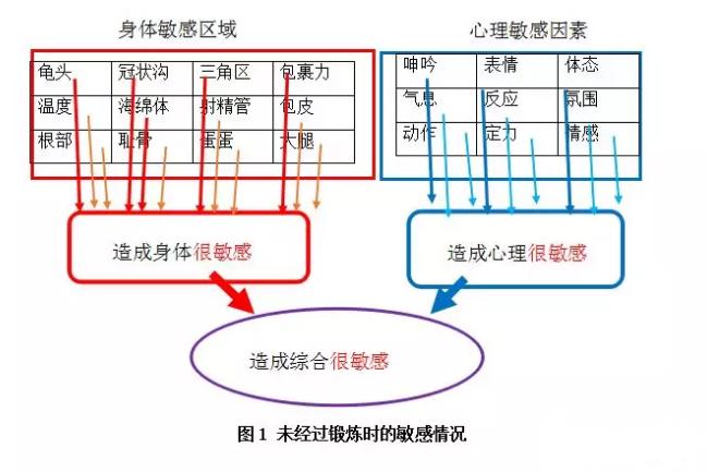 对敏感体位的脱敏训练