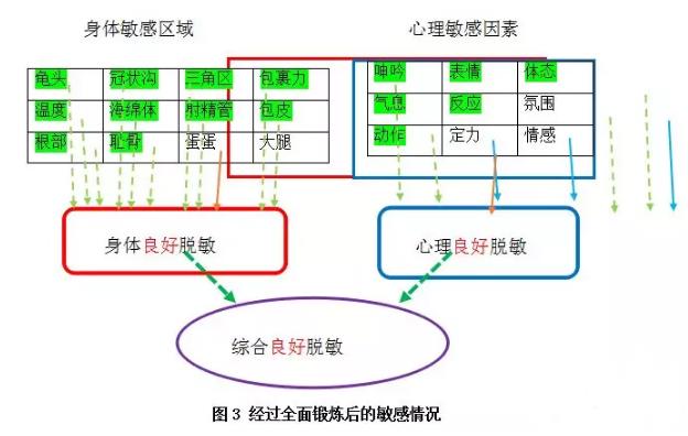 对敏感体位的脱敏训练