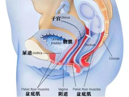 性生活时，女性垫个枕头更能体会快感