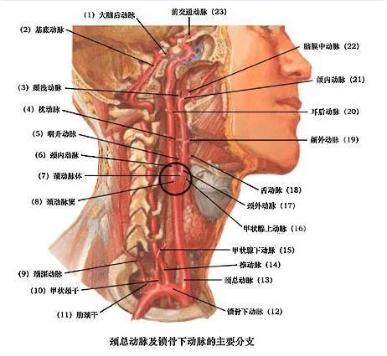 这些危险的性行为，一定不要尝试