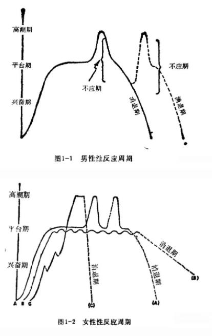 G点都知道吧！居然还有A点、U点、C点